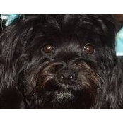 Jill Simmons's photo