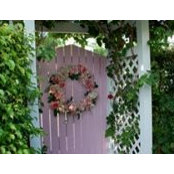 Mary Jo Sharkey's photo