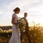 Whitney Weil's photo