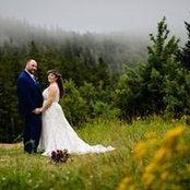 Dan Andrews's photo