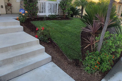 This is an example of a mid-sized transitional drought-tolerant and partial sun front yard stone garden path in San Diego for summer.