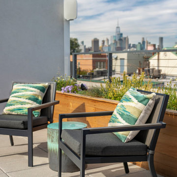 Carroll Gardens, Brooklyn Rooftop I