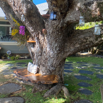 100 Year Old Tree Bench