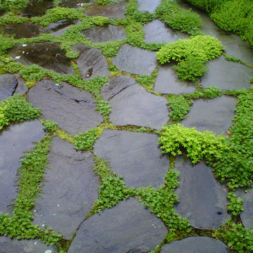 Pathways, Landings, and Steps