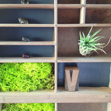 Walls