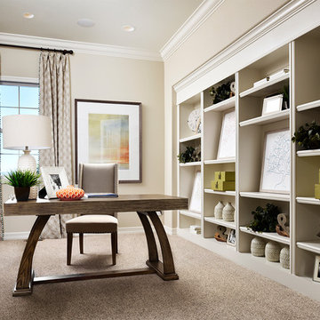 Daniel model home in Colorado