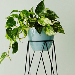 Calypso Ceramic Pot | Ivy Muse - Indoor Pots And Planters