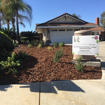 Less lawn in El Cajon