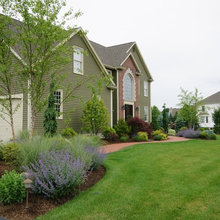 Pool landscaping