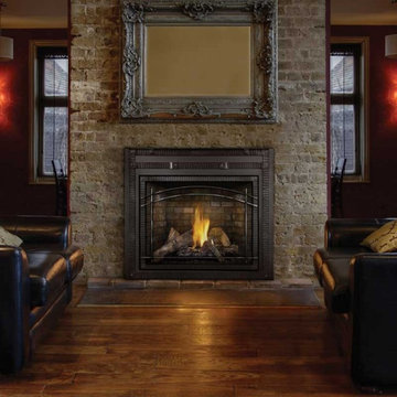 Napoleon Direct Vent Fireplace with Black Door - Natural Gas