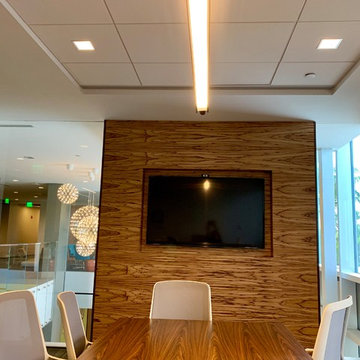SBA Communications's Conference Room System