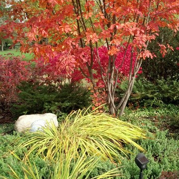 Plantings