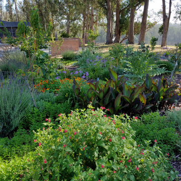 Edible Gardens