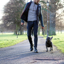 dogs and there stupid owners