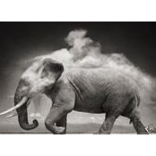 Thomas Klein's photo