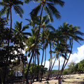 Eric Amonson's photo