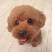 HoiNdick Leung's photo
