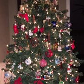 Deanna Greco's photo