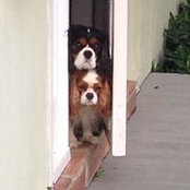 Robert Moser's photo