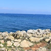 Barbara Keith's photo