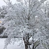 Sue Noble's photo
