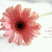 irma alaydrus's photo