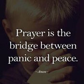 Dana Andreu's photo