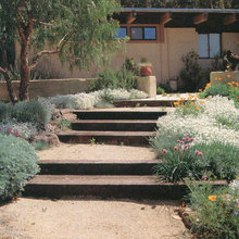 landscaping front yard
