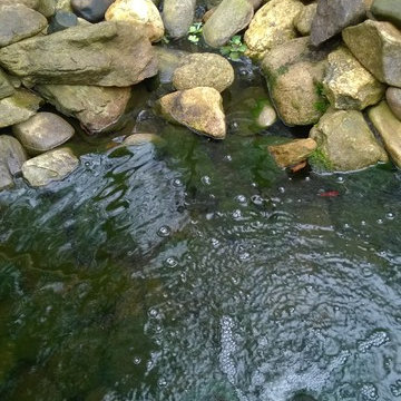 Flagstone Patio, Walkway, and Pond with Waterfall