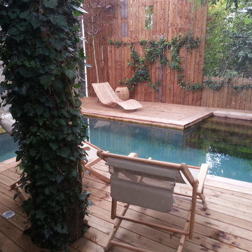 Piscine bois hors sol , dans Paris