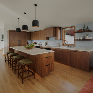 Midcentury Modern Vista