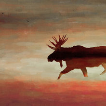 Condo