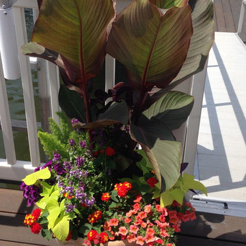 Container Gardens