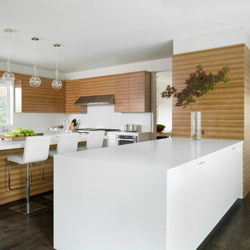 Contemporary Warmth: Highland Park Residence