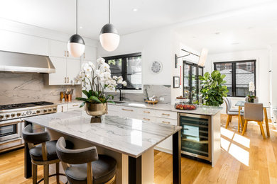 Kitchen - contemporary kitchen idea in Toronto