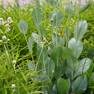 The DPG Farm Gardens, East Vincent Township