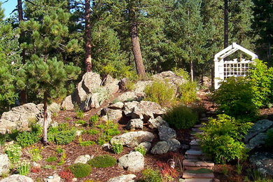 Inspiration for a traditional landscaping in San Francisco.
