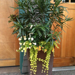 Designer Planters for sale - Outdoor Pots And Planters