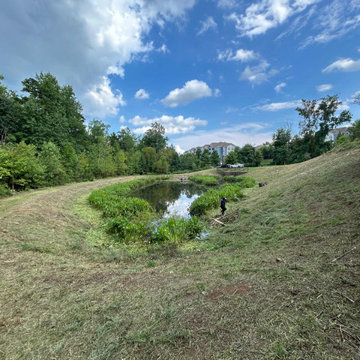 Professional Landscape Maintenance & Outdoor Cleanup