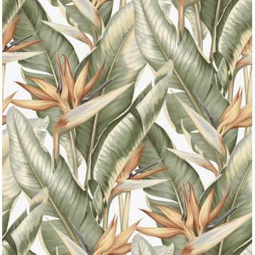 Arcadia Light Green Banana Leaf Wallpaper, Bolt