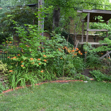 DIY Landscape - Woodland or Shade Gardening