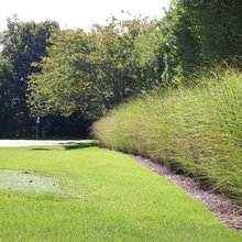 Driveway Border