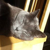 Patti MacKenzie's photo