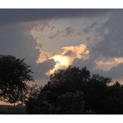 Donna Smith's photo