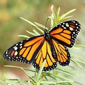 Candace Donahue's photo