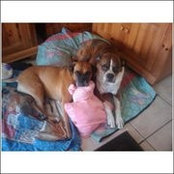 Benay Alperin's photo