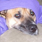Laura Lee Roberts's photo