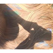 Brandi Bailey's photo