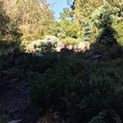Jacob Jackson's photo