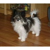 Lorne Tremblay's photo